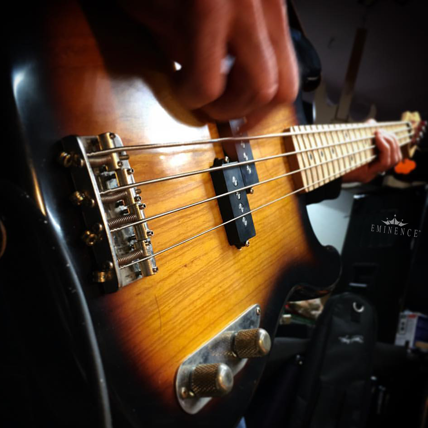 Bass Guitar – Eminence Speaker, LLC Bass Guitar – Eminence Speaker, LLC