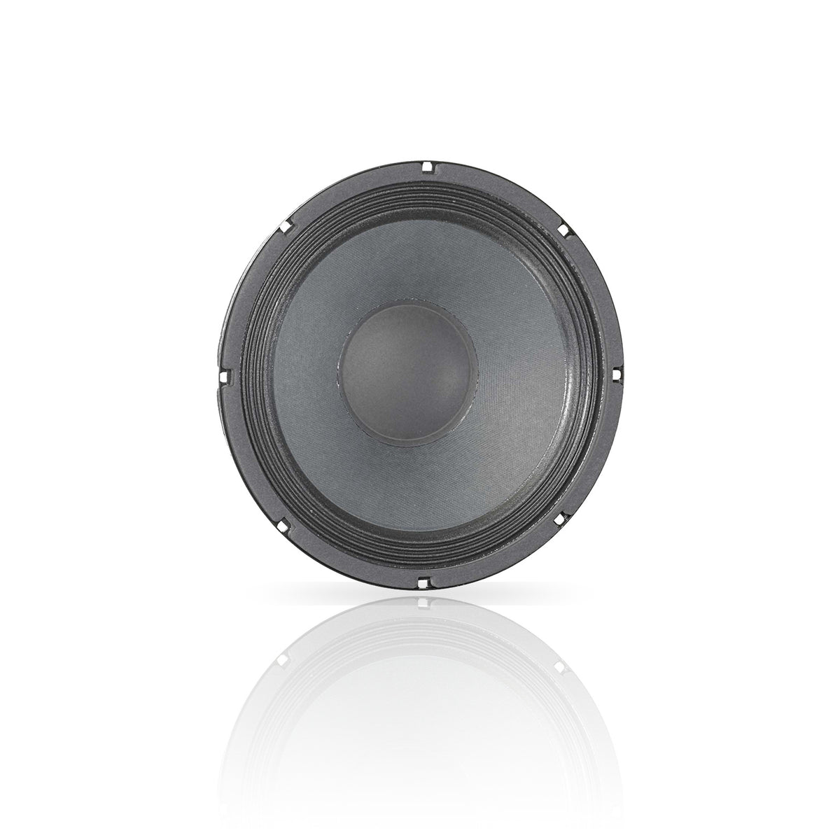 ALPHA-10A 10" American Standard Series Speaker