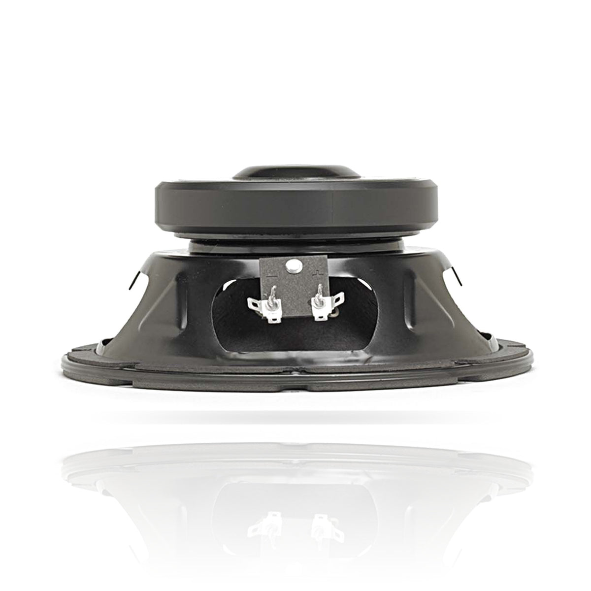 ALPHA-8A 8" American Standard Series Speaker