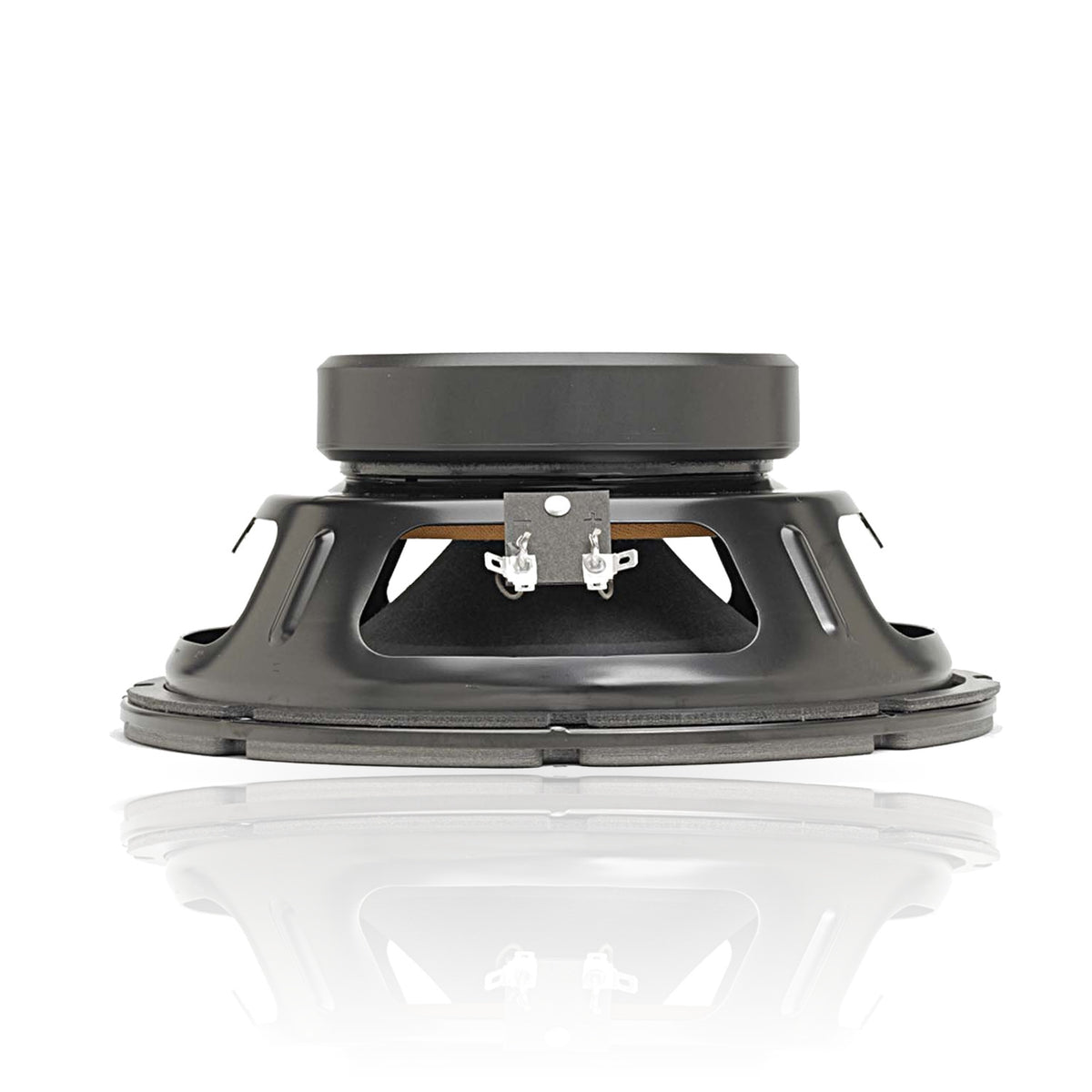BETA 10CX 10" American Standard Series Speaker