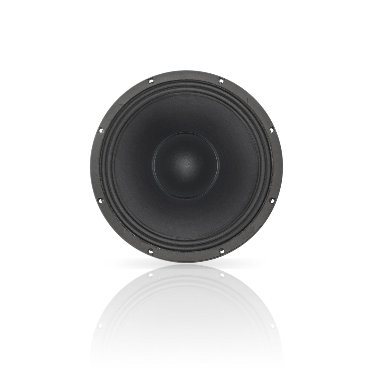 FS12.25A8 – 12" High-Output Ceramic Woofer