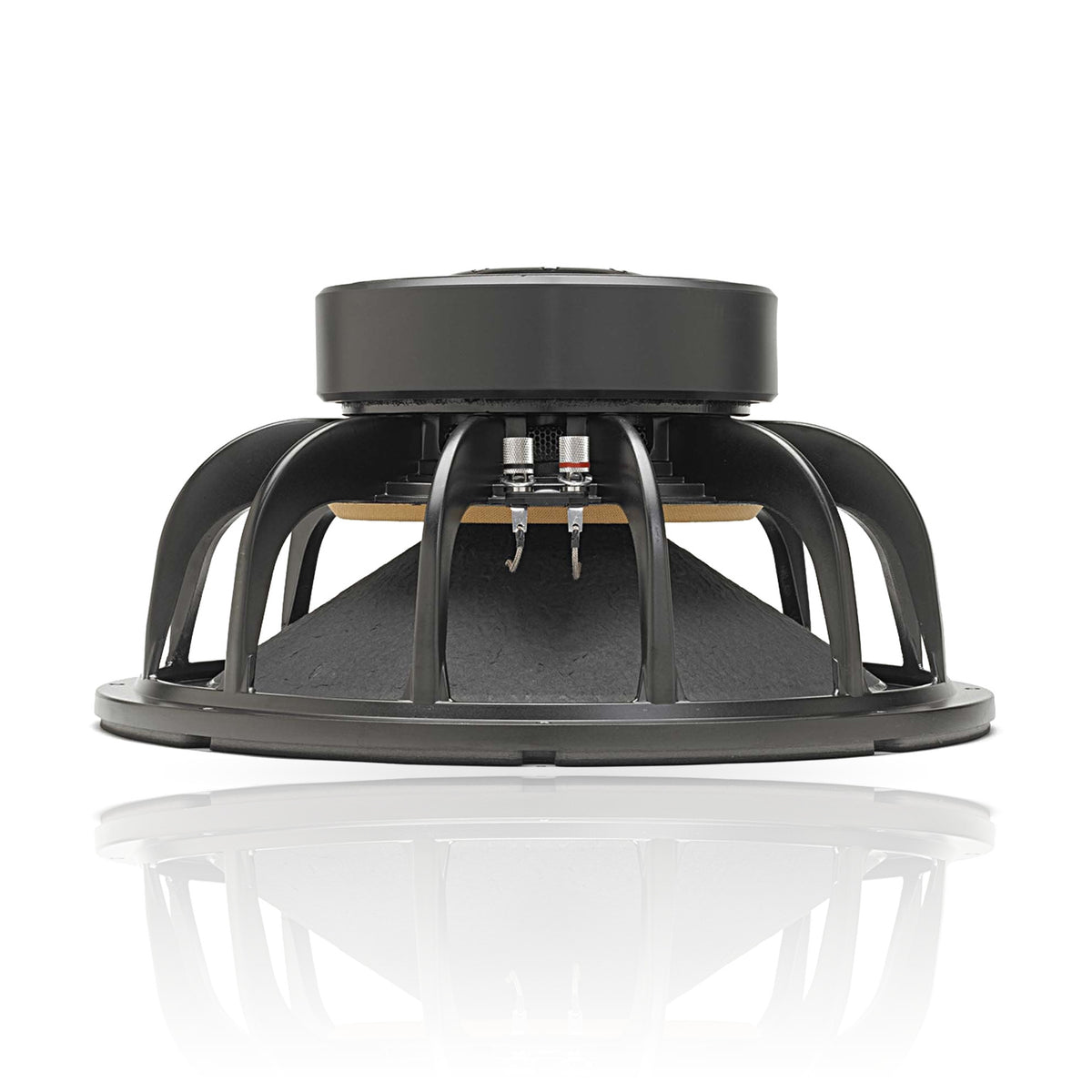 LAB 15 | 15" Professional Series Speaker