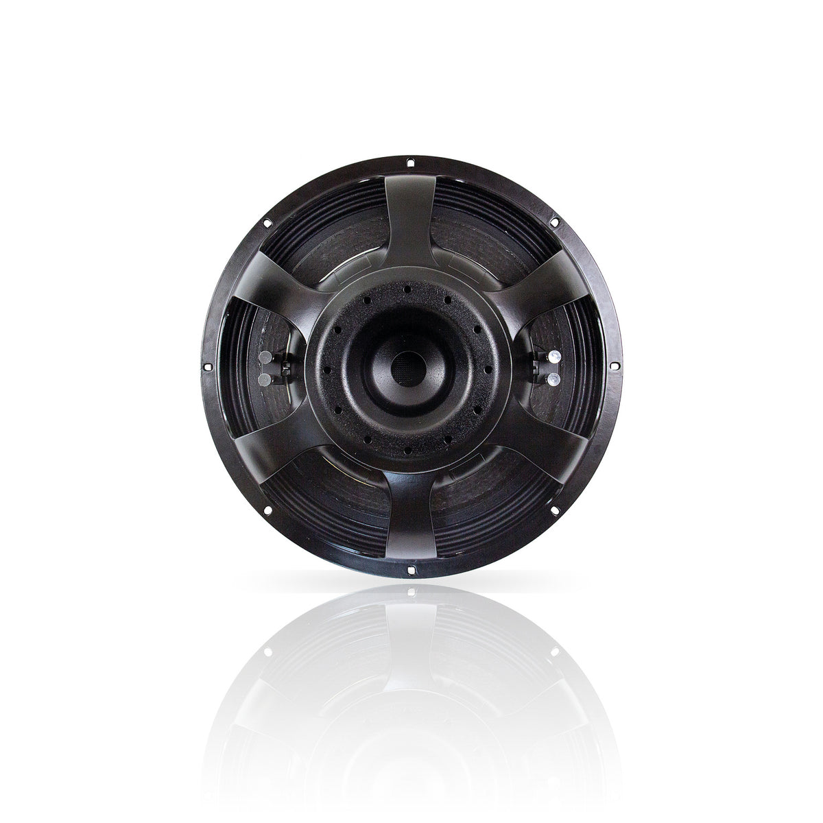NSW6021-124 21" Speaker