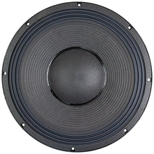 Load image into Gallery viewer, NSW6021-124 21" Speaker