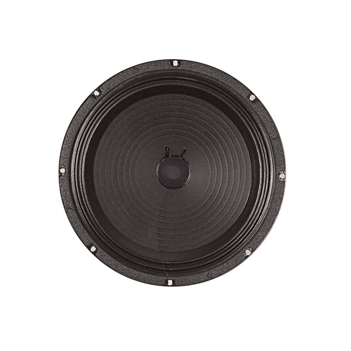Eminence Speaker Cone