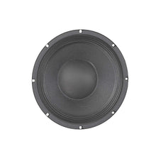 Load image into Gallery viewer, BETA-10B 16-Ohm 10" American Standard Series Speaker