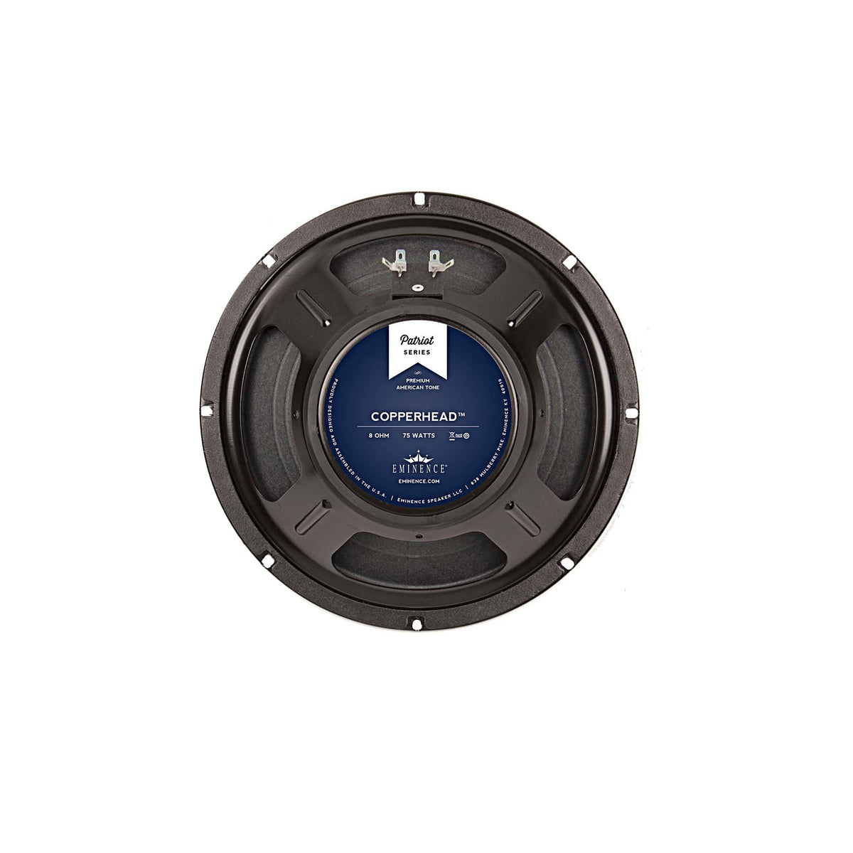 10 inch Eminence Lead / Rhythm Guitar Replacement Speaker- American Eminence Speaker Basket