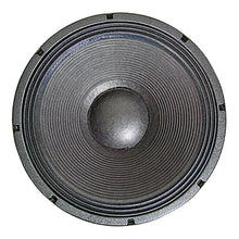 Load image into Gallery viewer, NSW4018-8 18" Tour Grade Speaker