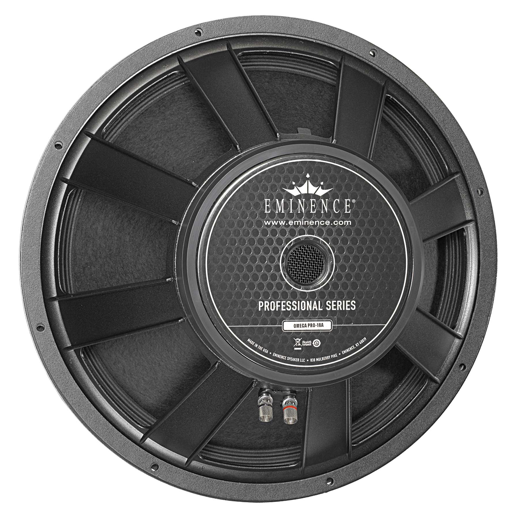 18 inch Eminence Professional Series Replacement Speaker