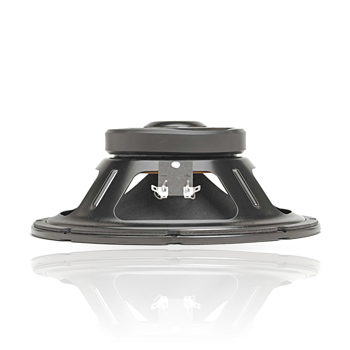 ALPHA-10A 10" American Standard Series Speaker