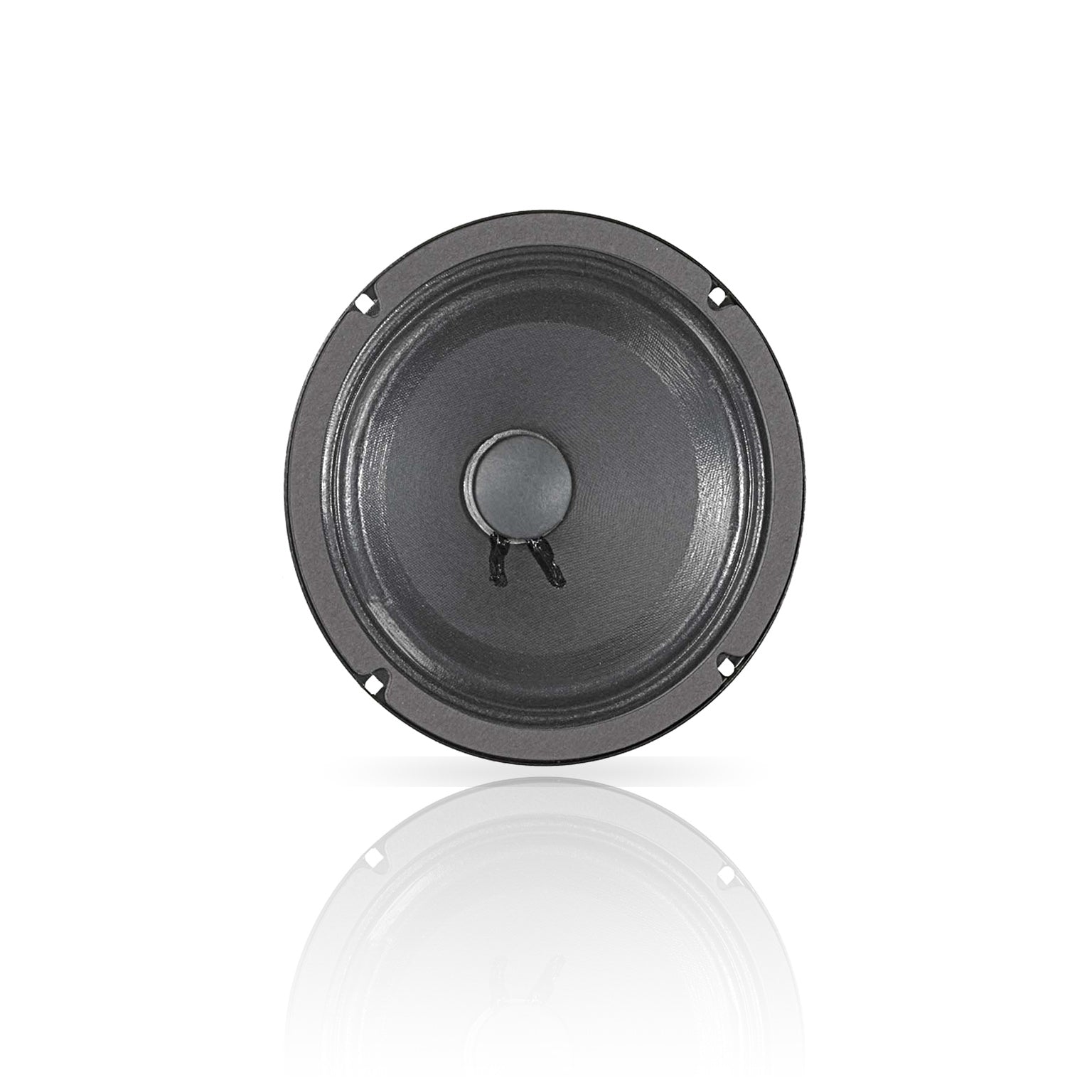 8 inch Eminence American Standard Series Replacement Speaker