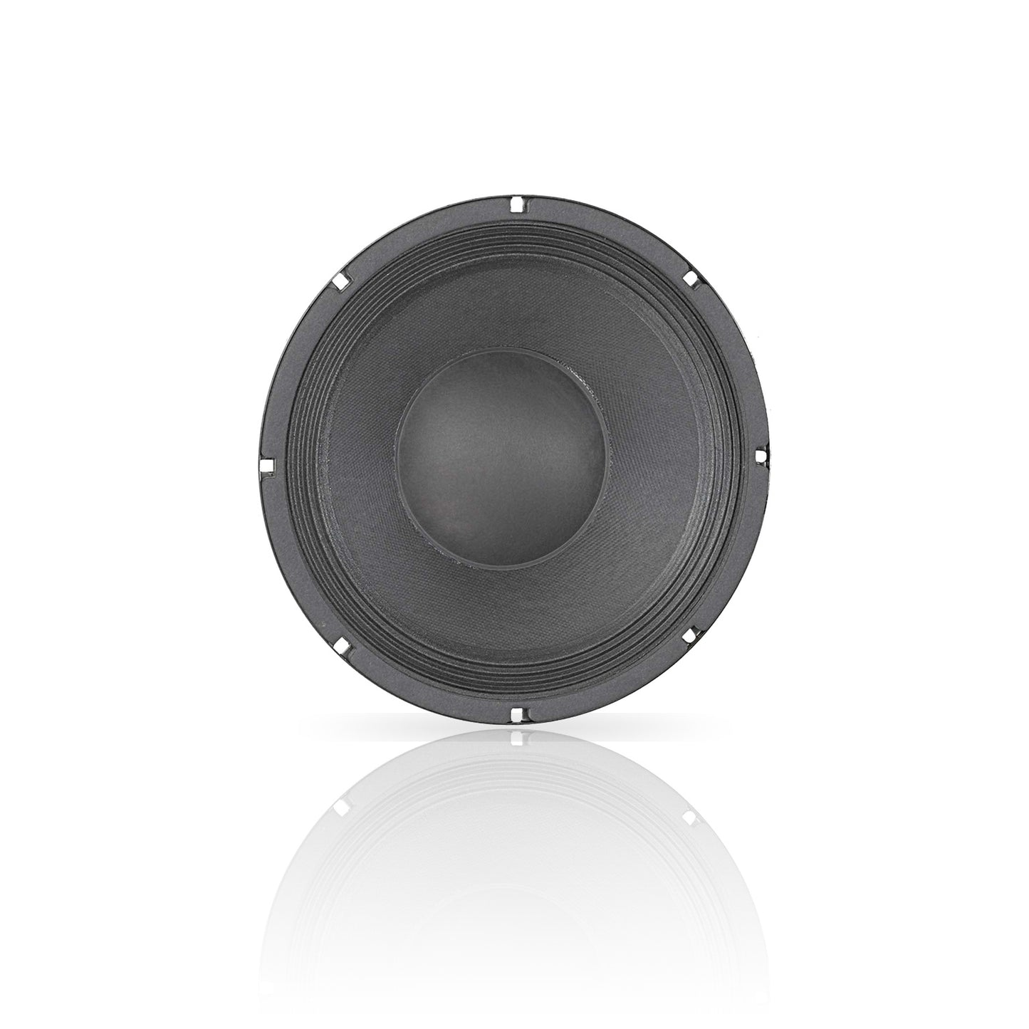 BETA-10B 16-Ohm 10" American Standard Series Speaker