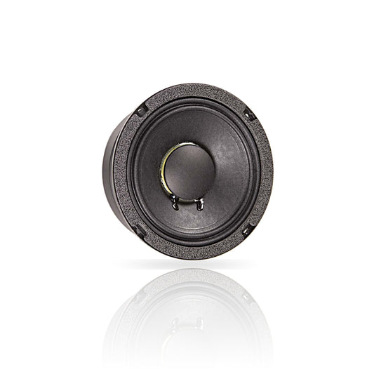 BETA-6A 6" American Standard Series Speaker
