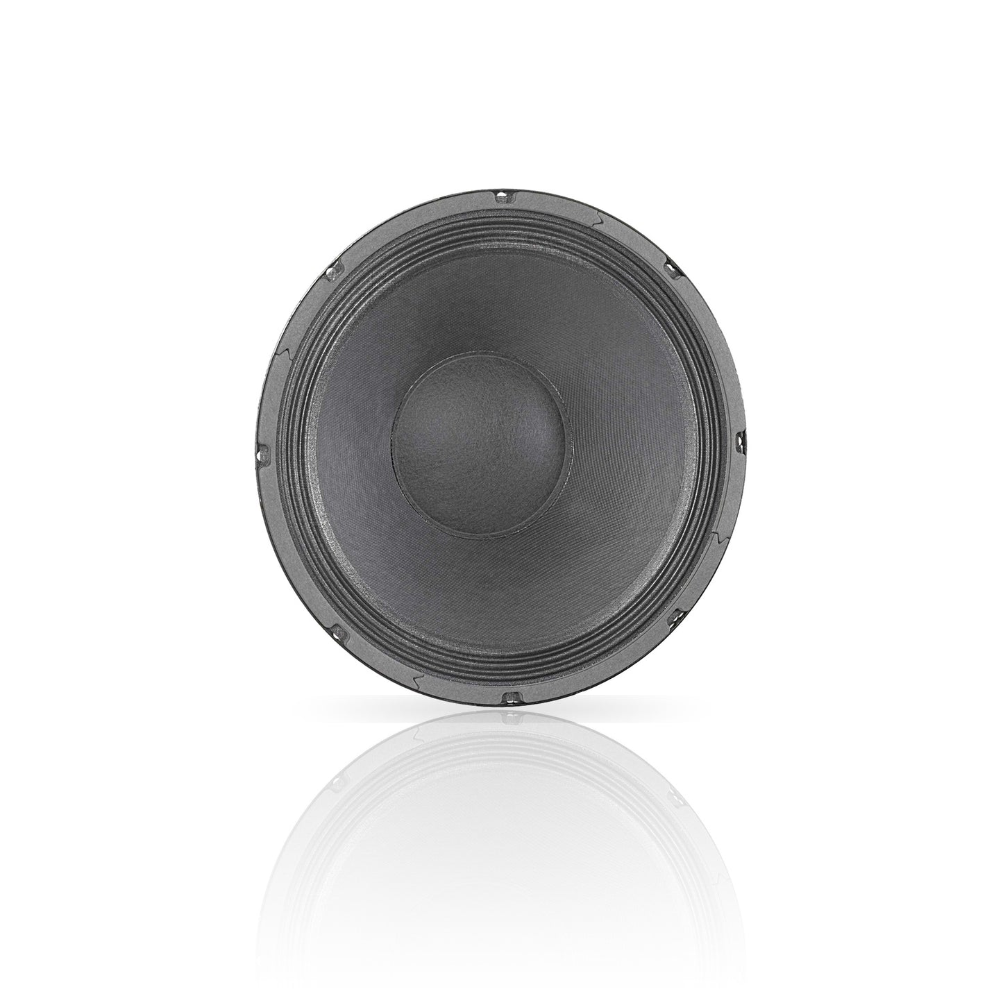 DELTA-12A 12" American Standard Series Speaker