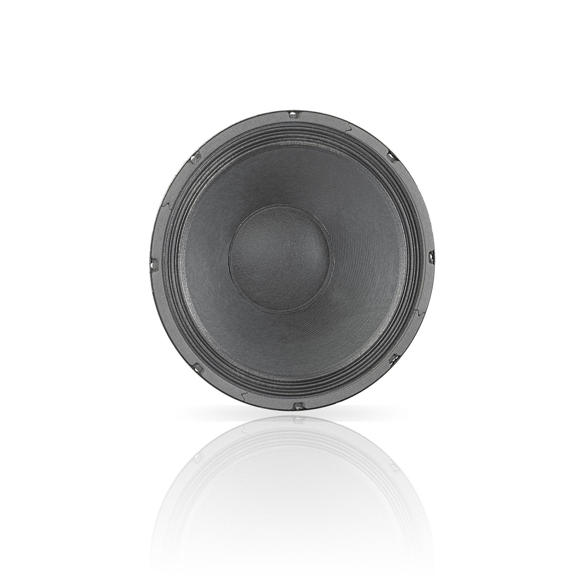 DELTA 12B 12" American Standard Series Speaker | 16-Ohms
