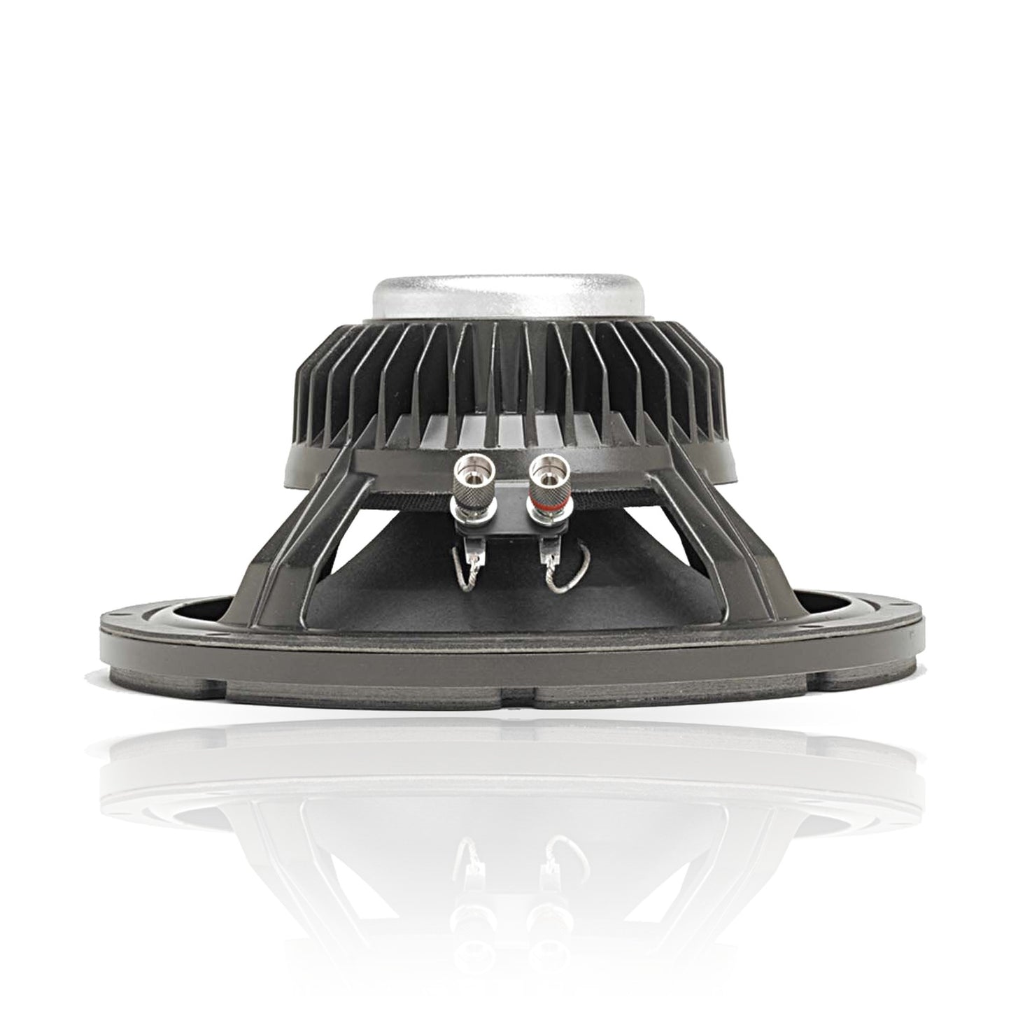 DELTALITE 2510 | 10" Neodymium Series Speaker - Series II