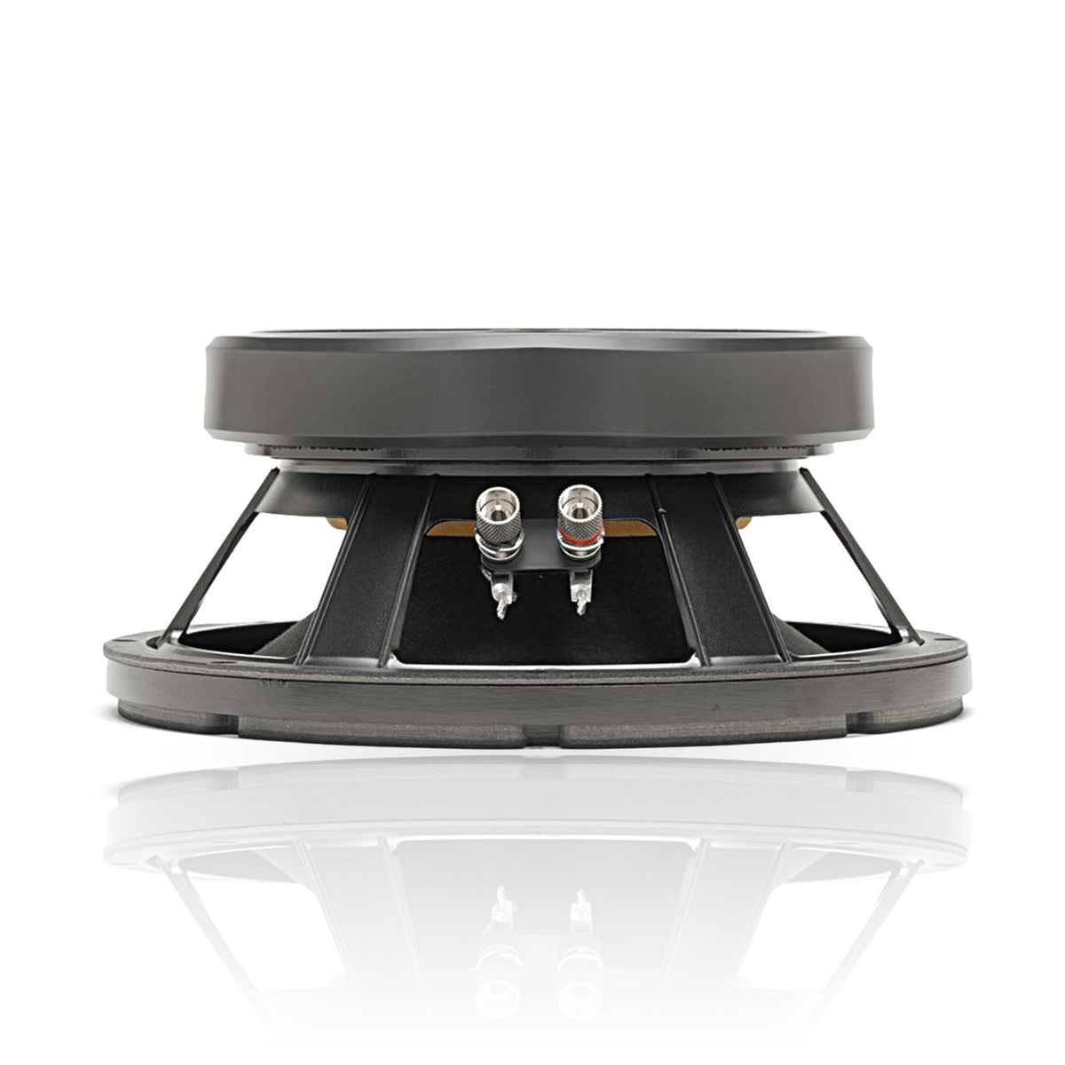 Kappa Pro-10A 10" Professional Series Speaker