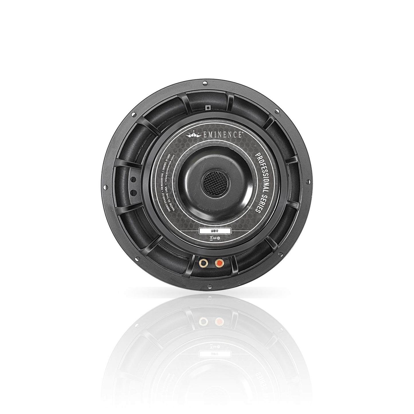 LAB 12 | 12" Professional Series Speaker