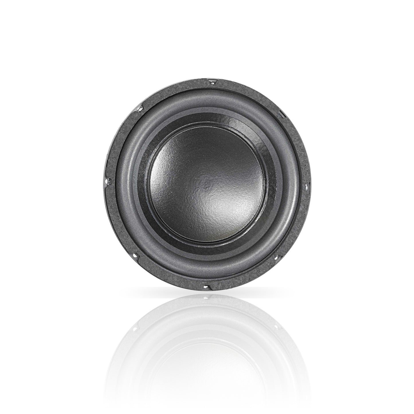 LAB 12 | 12" Professional Series Speaker