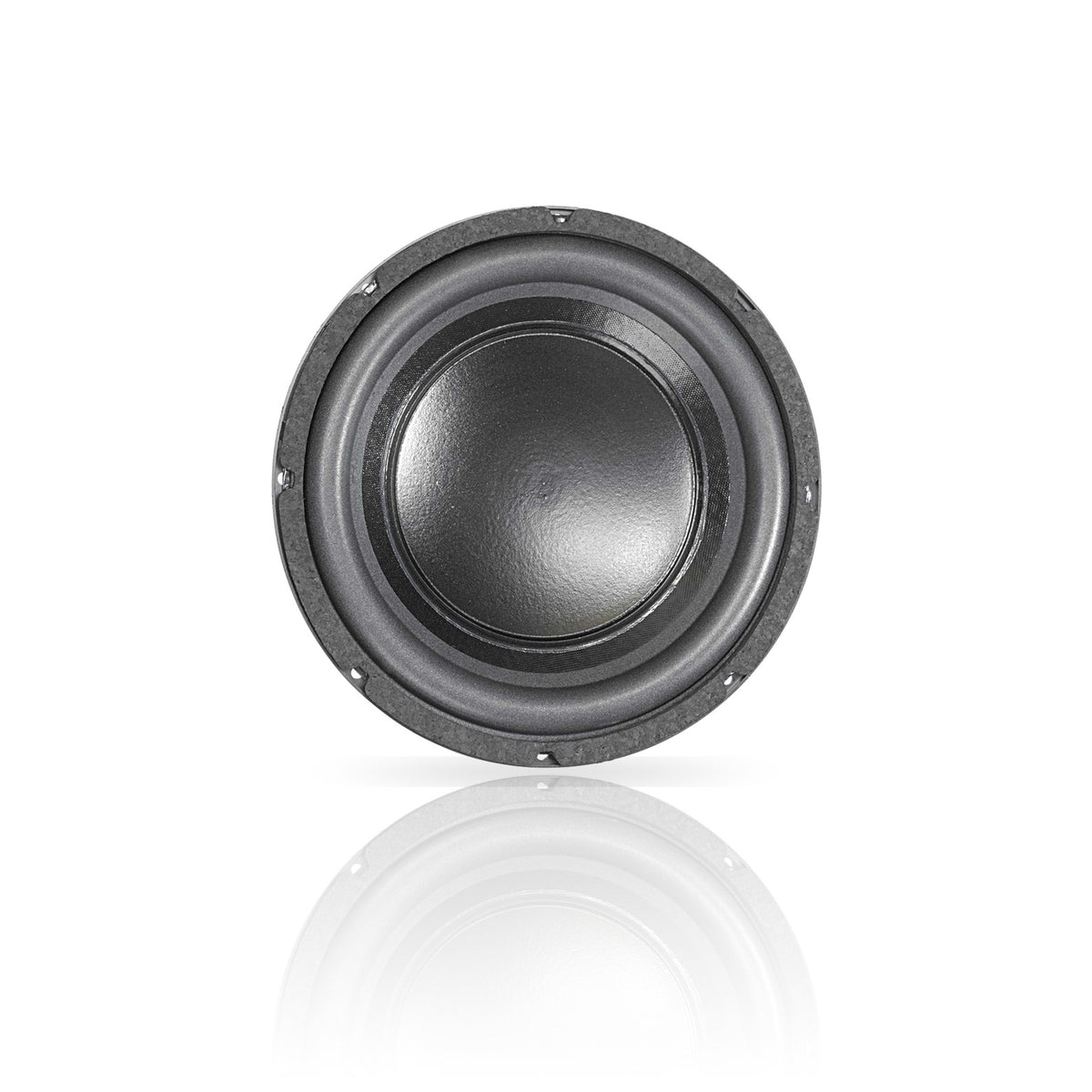 LAB 12 | 12" Professional Series Speaker