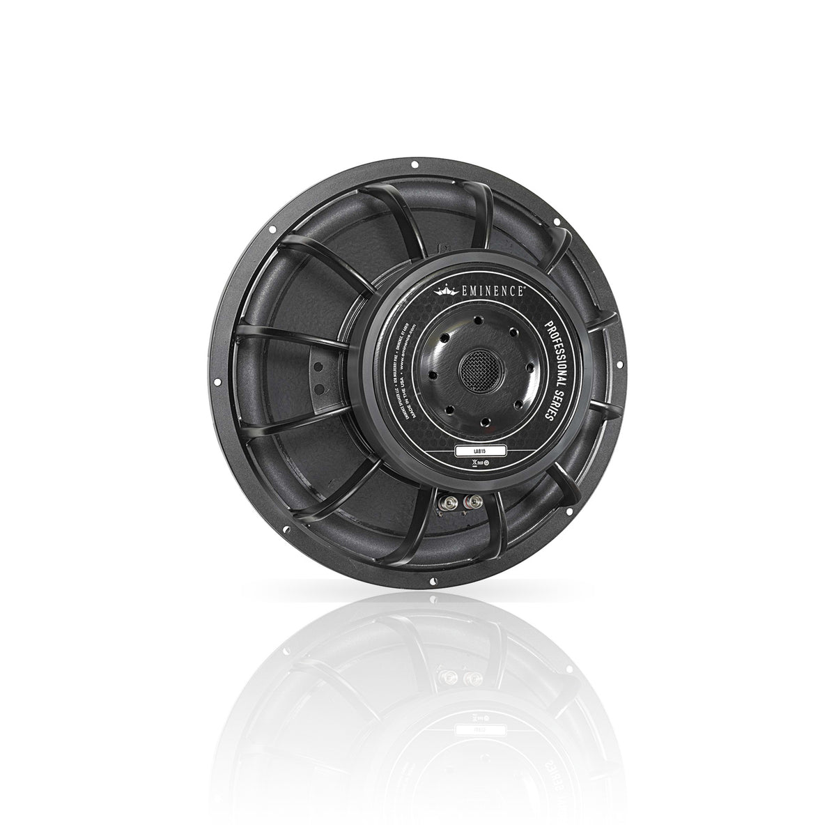 LAB 15 | 15" Professional Series Speaker