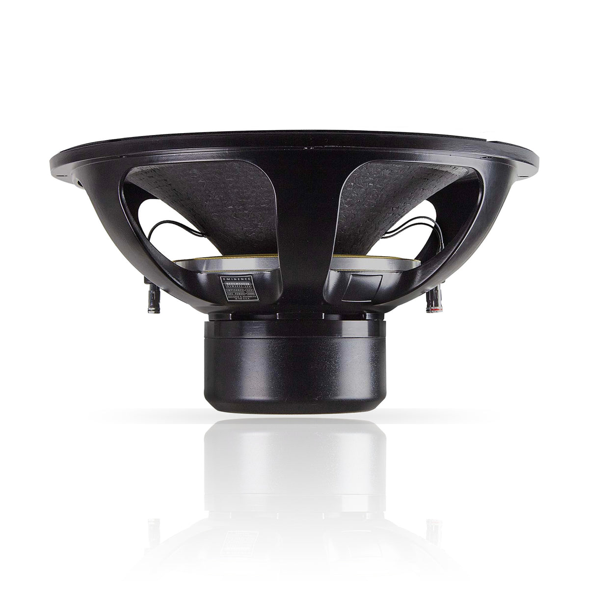 NSW6021-124 21" Speaker