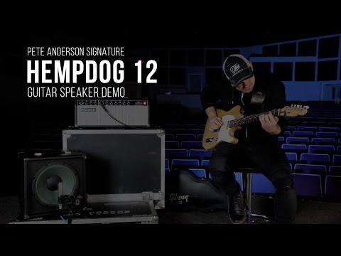 Hempdog 12 | 12" Pete Anderson Signature Guitar Speaker