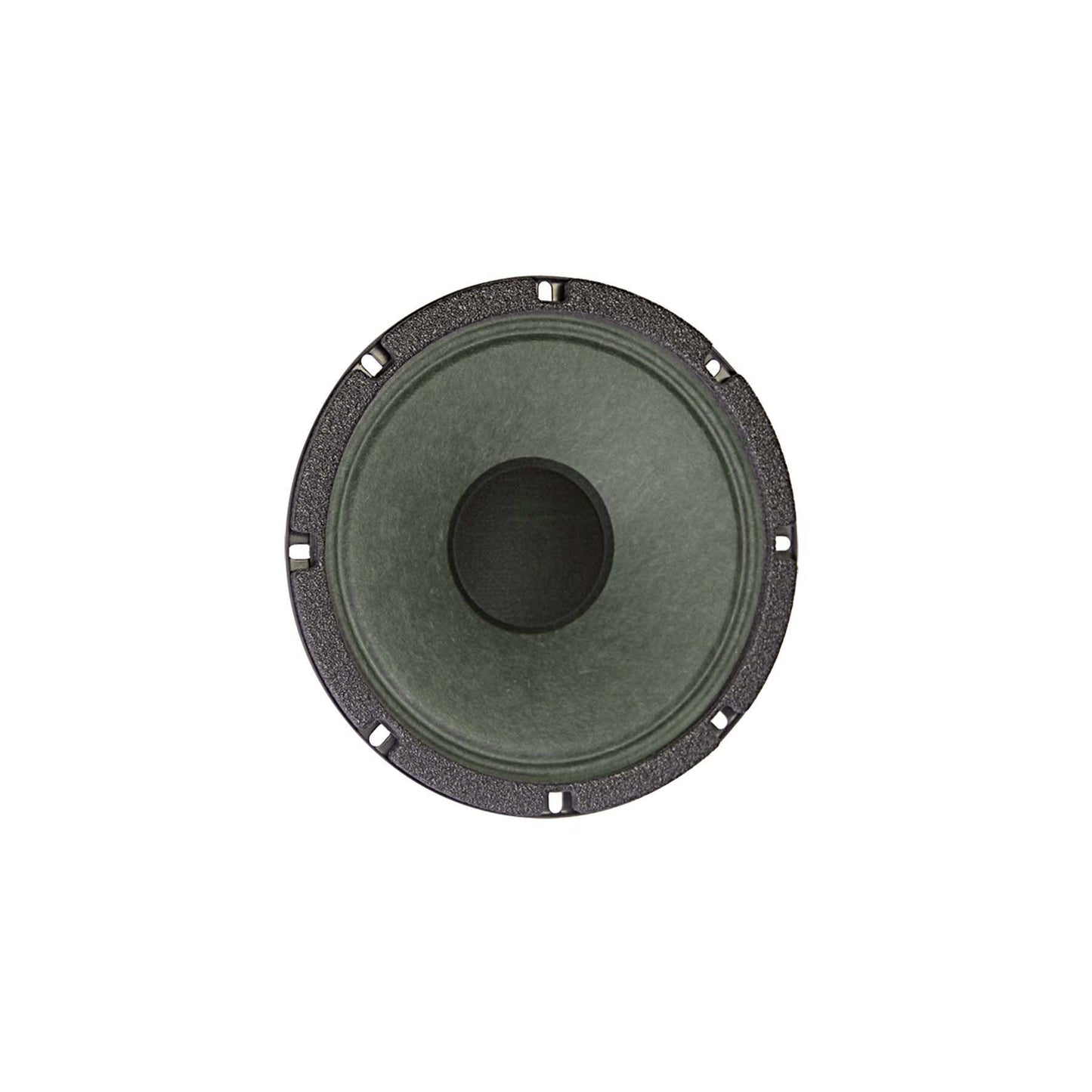 820H 8" Lead / Rhythm Guitar Speaker - Hemp