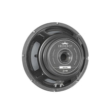 Load image into Gallery viewer, 10 inch Eminence American Standard Series Replacement Speaker Eminence Speaker Basket
