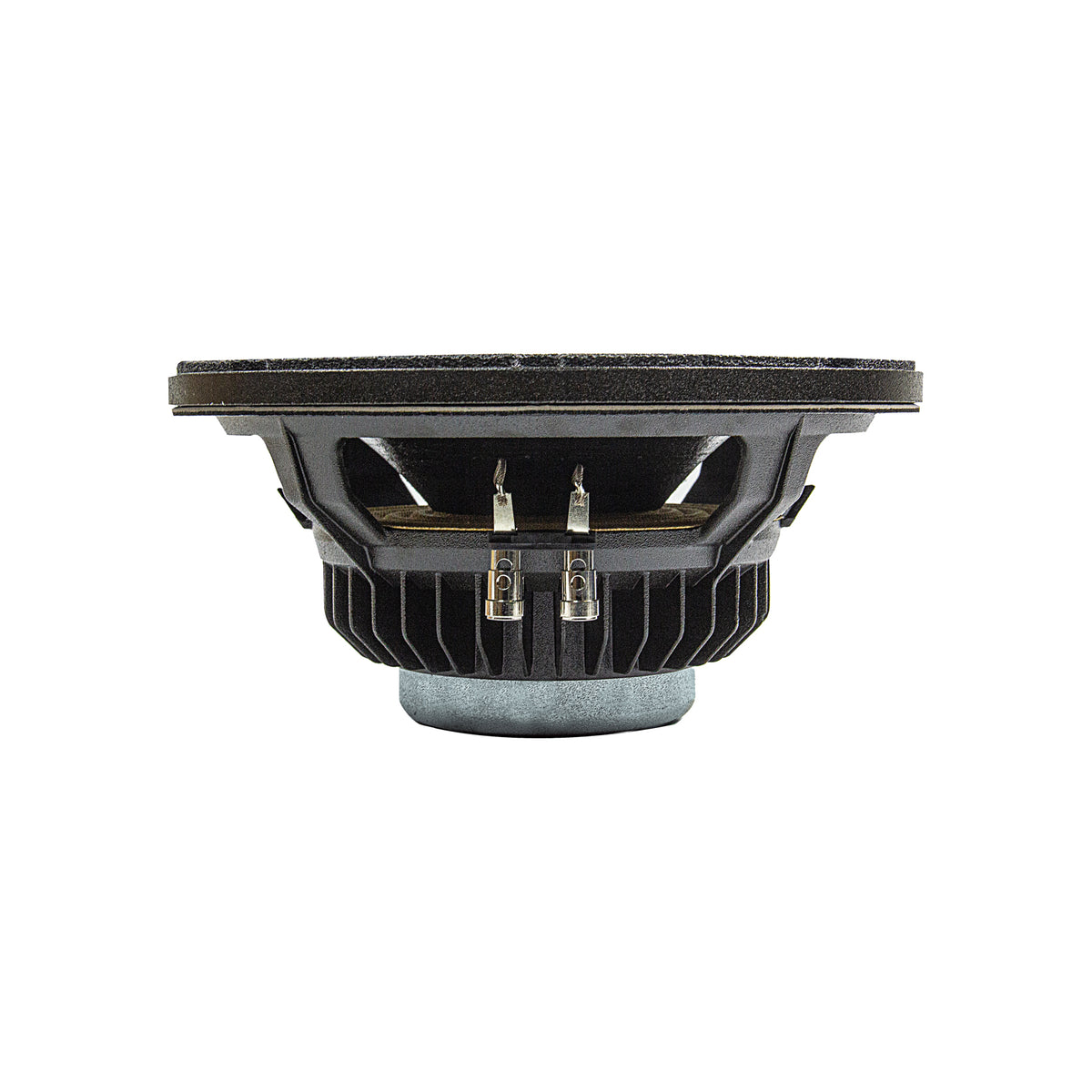 CannaBass™ CB3010N-8