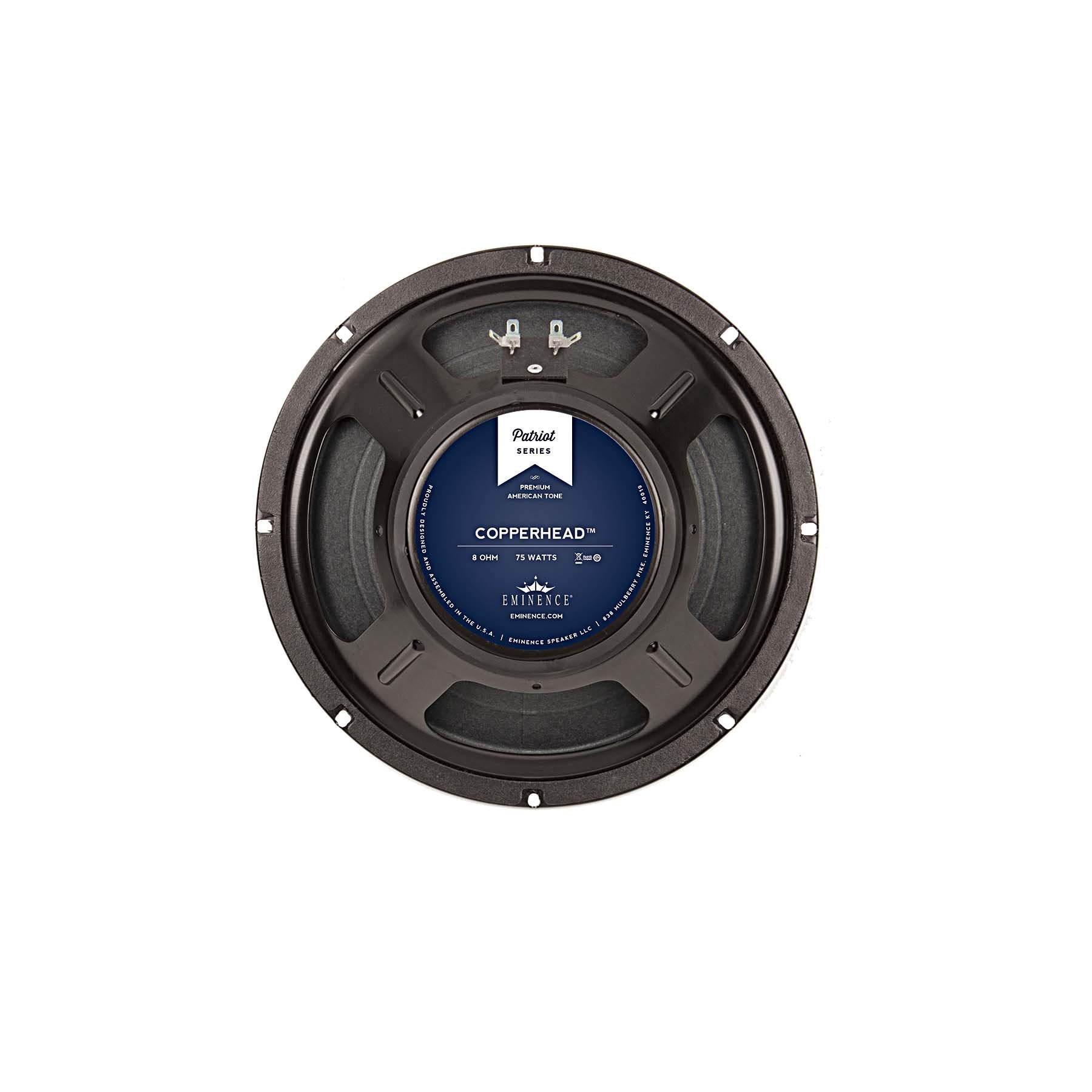 10 inch Eminence Lead / Rhythm Guitar Replacement Speaker- American Eminence Speaker Basket