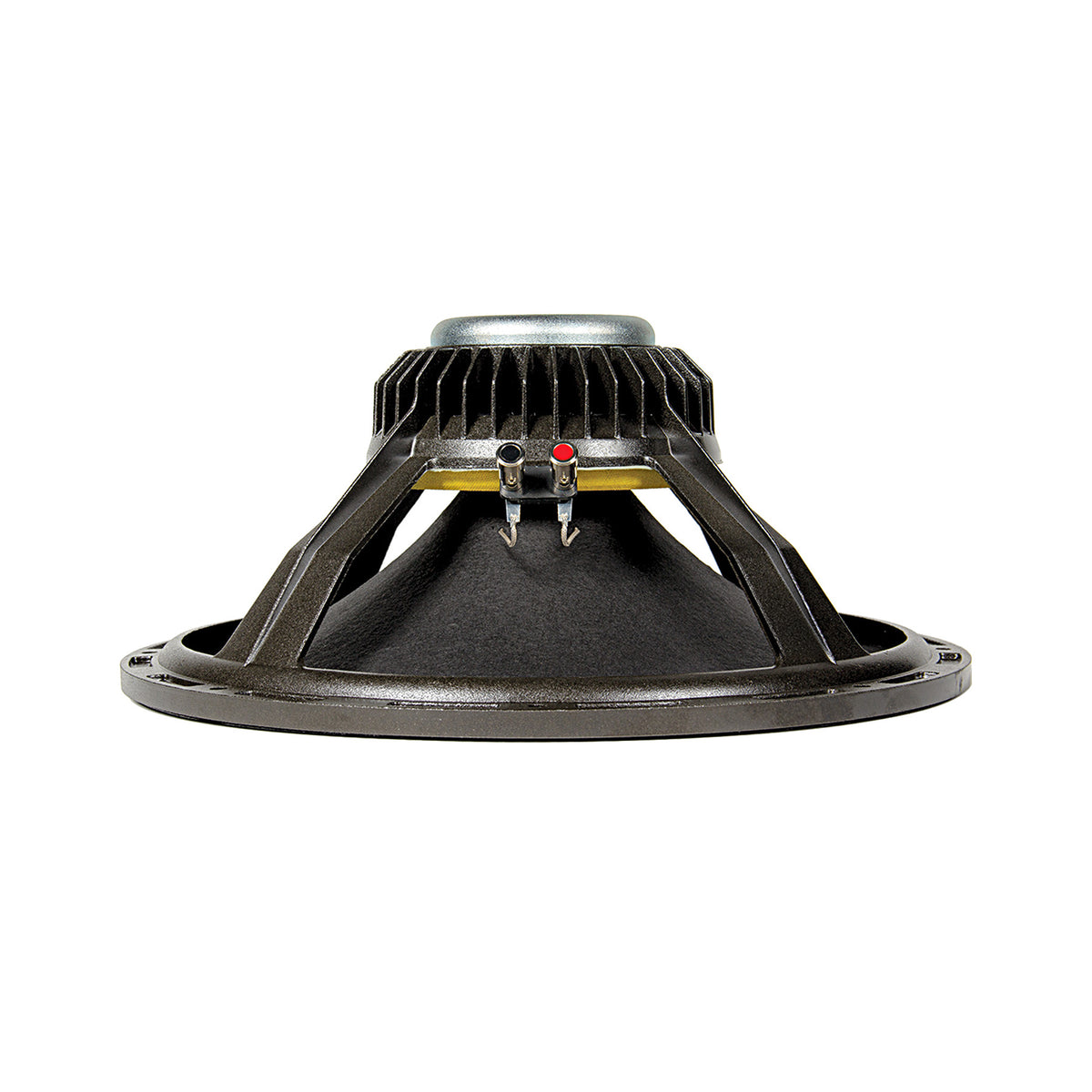 DOUBLE-T 15 | 15" Signature Guitar Speaker - Neodymium