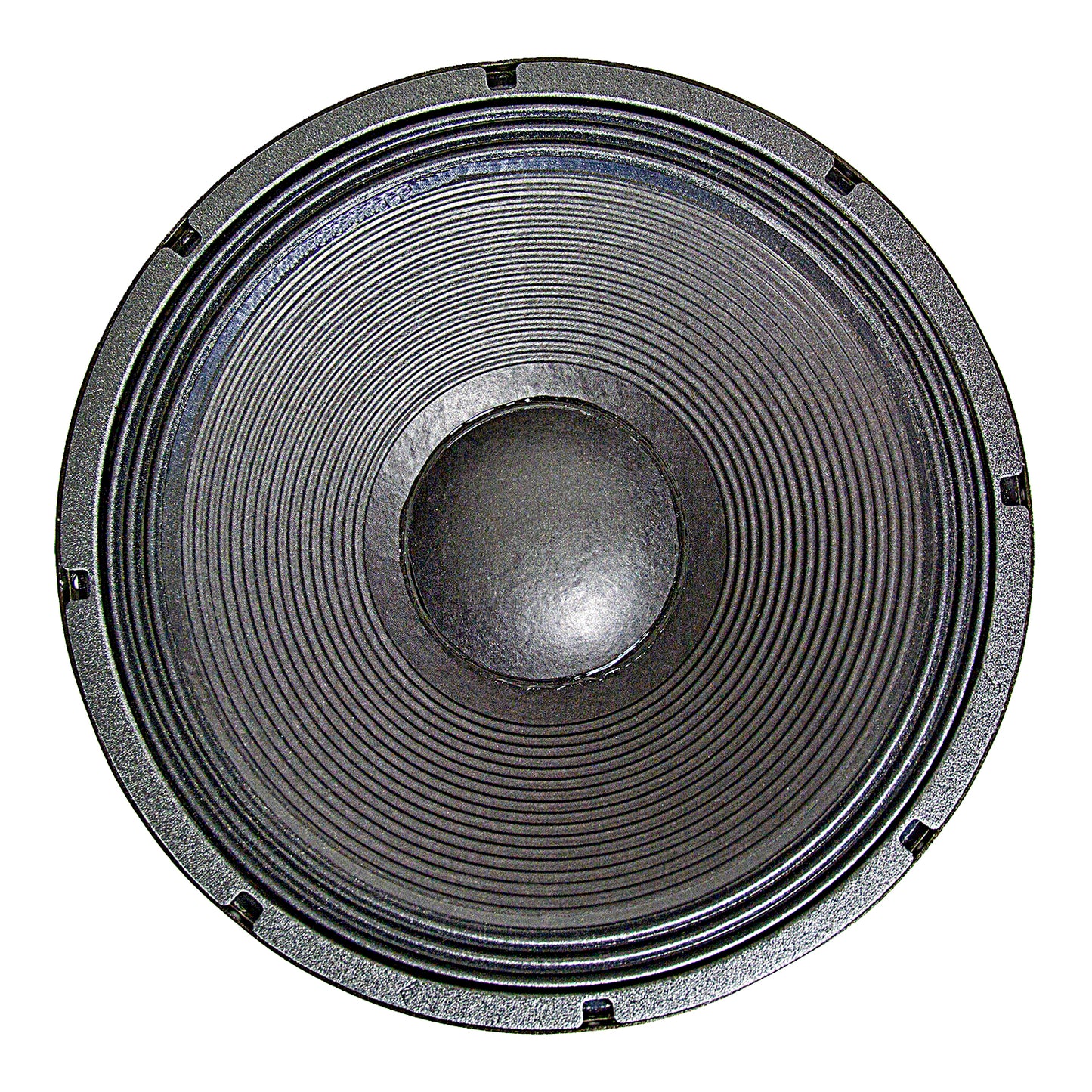 NSW4018-8 18" Tour Grade Speaker