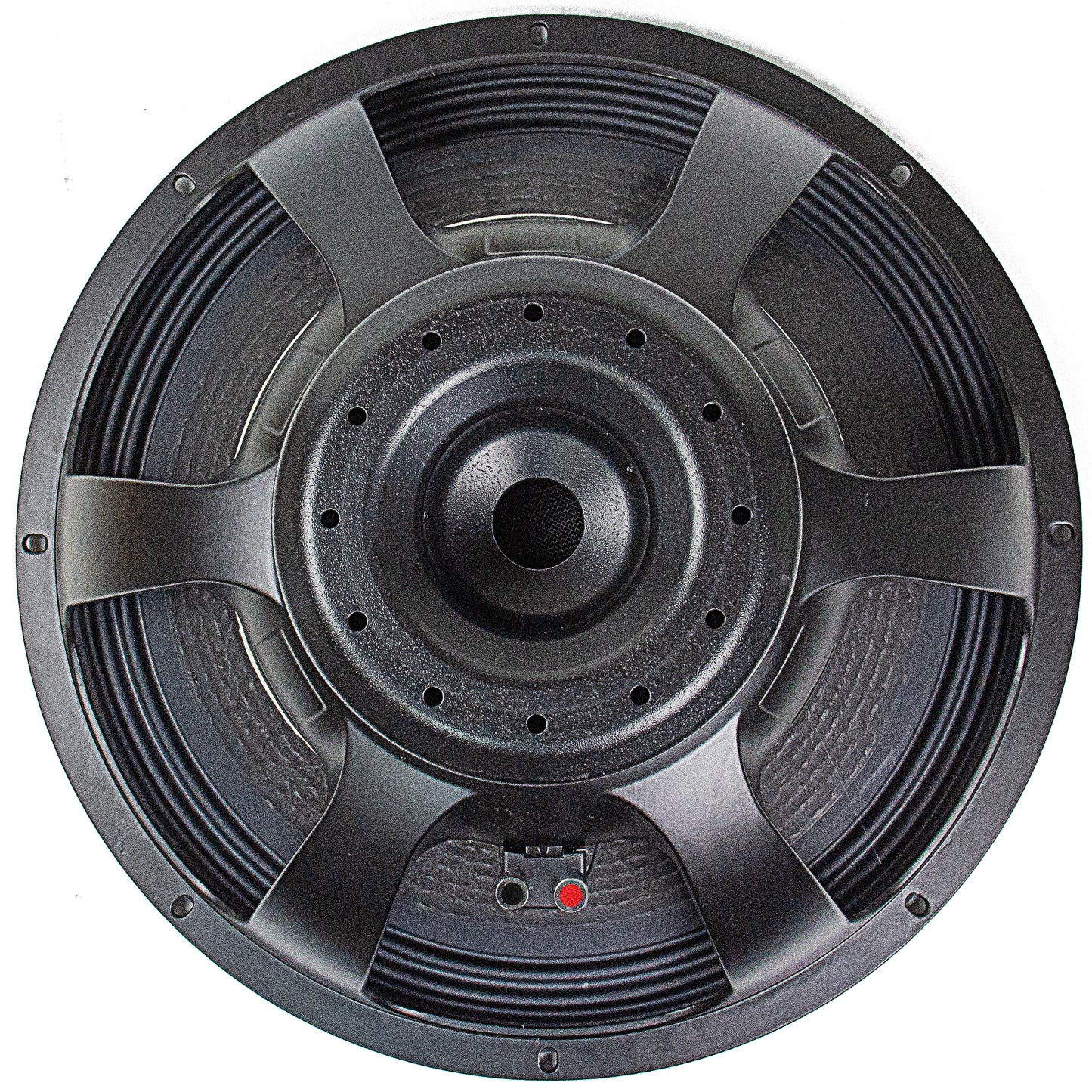 NSW6021-6 21" Tour Grade Speaker