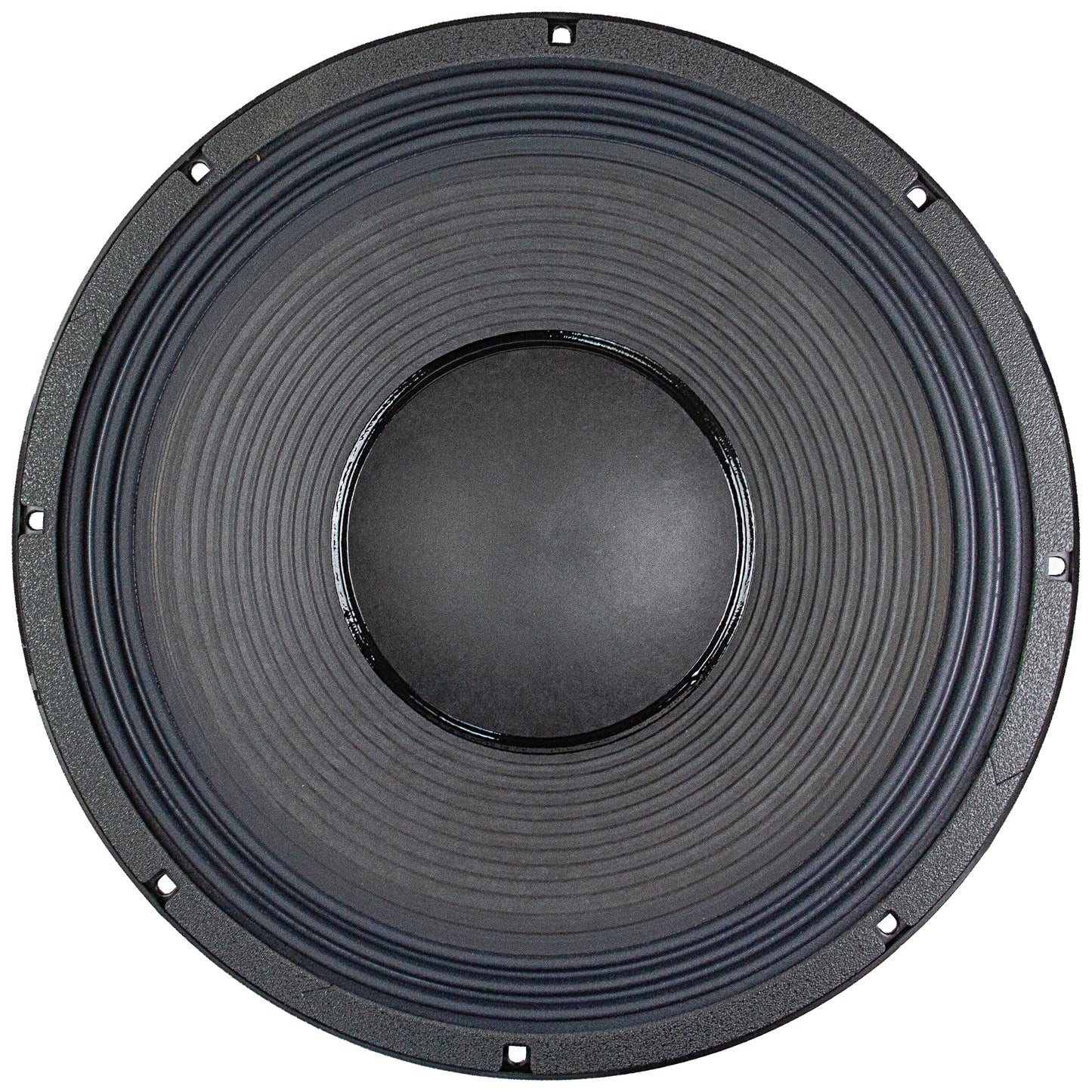 NSW6021-6 21" Tour Grade Speaker