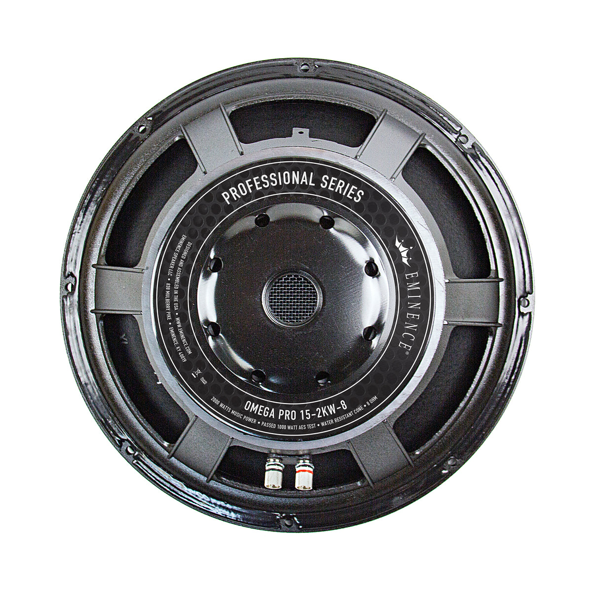 15 inch Eminence Professional Series Replacement Speaker – Eminence ...