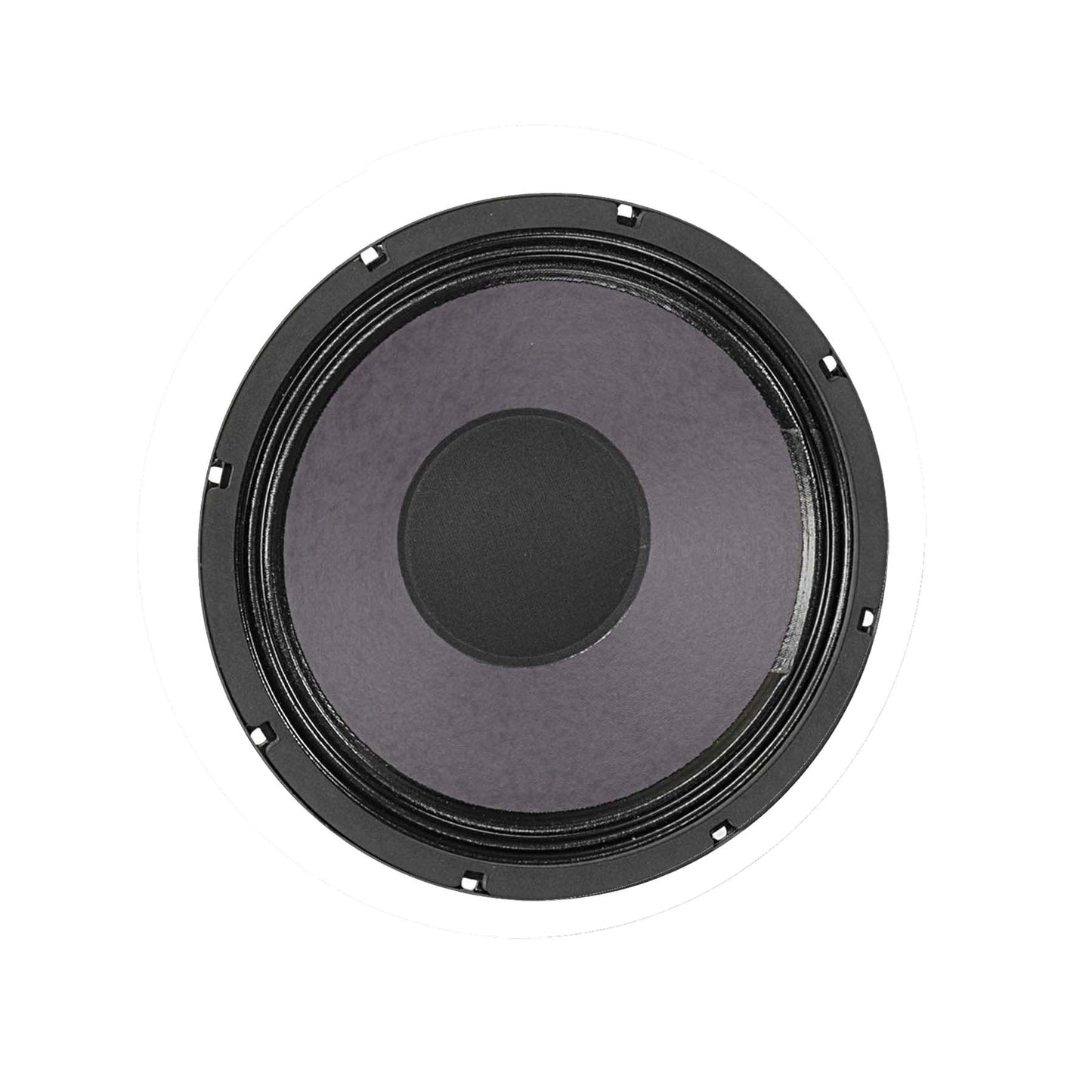 RAGIN CAJUN 10" Guitar Speaker-16 Ohm
